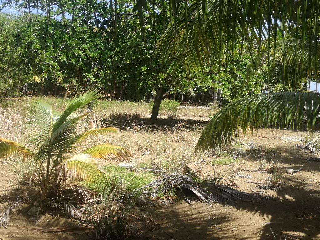 Listing ID: URE0602, Little Bight Utila, Bay Islands, HN - Lot At Little Bight, Photo #