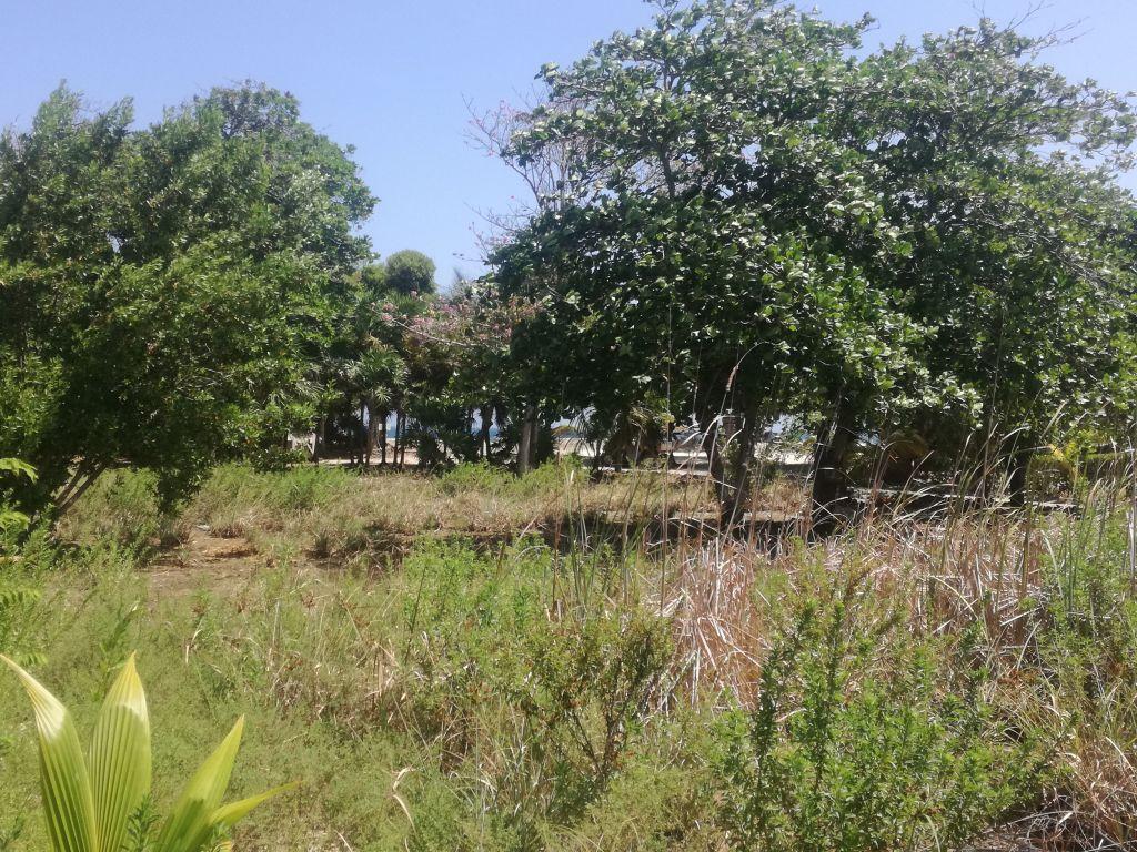 Listing ID: URE0602, Little Bight Utila, Bay Islands, HN - Lot At Little Bight, Photo #