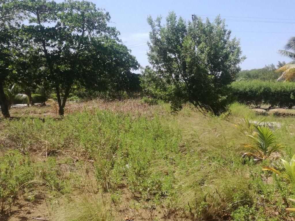 Listing ID: URE0602, Little Bight Utila, Bay Islands, HN - Lot At Little Bight, Photo #