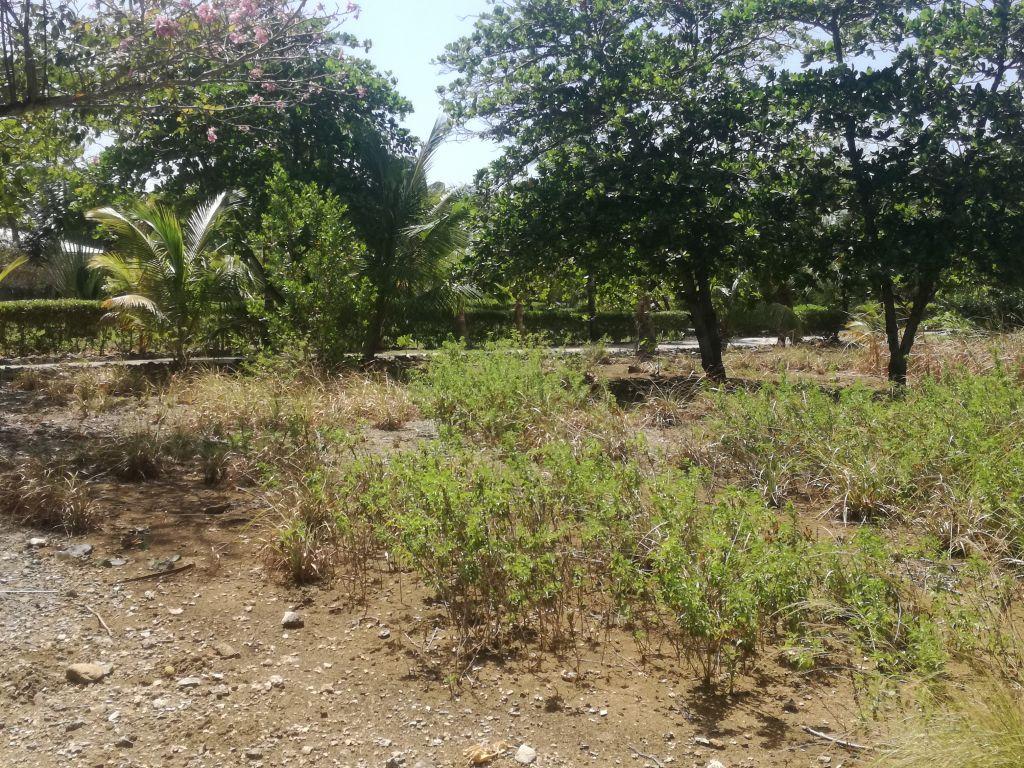 Listing ID: URE0602, Little Bight Utila, Bay Islands, HN - Lot At Little Bight, Photo #