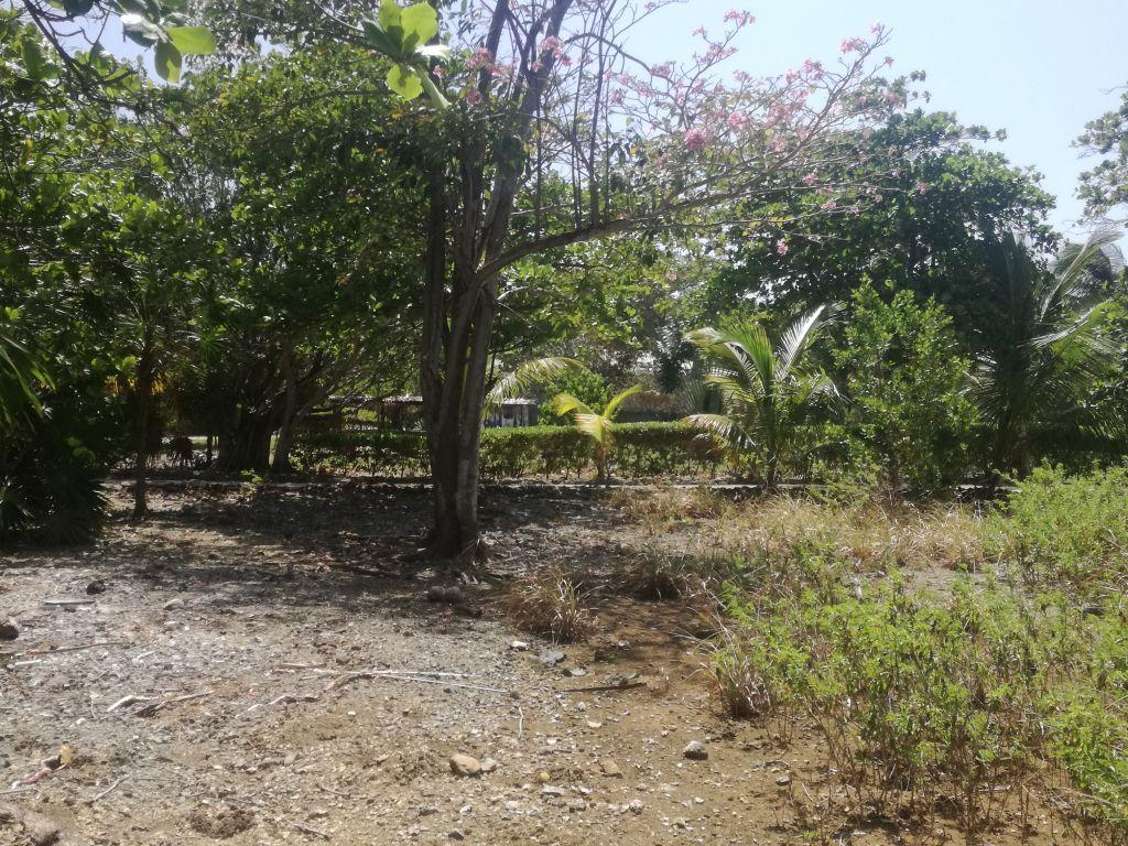 Listing ID: URE0602, Little Bight Utila, Bay Islands, HN - Lot At Little Bight, Photo #