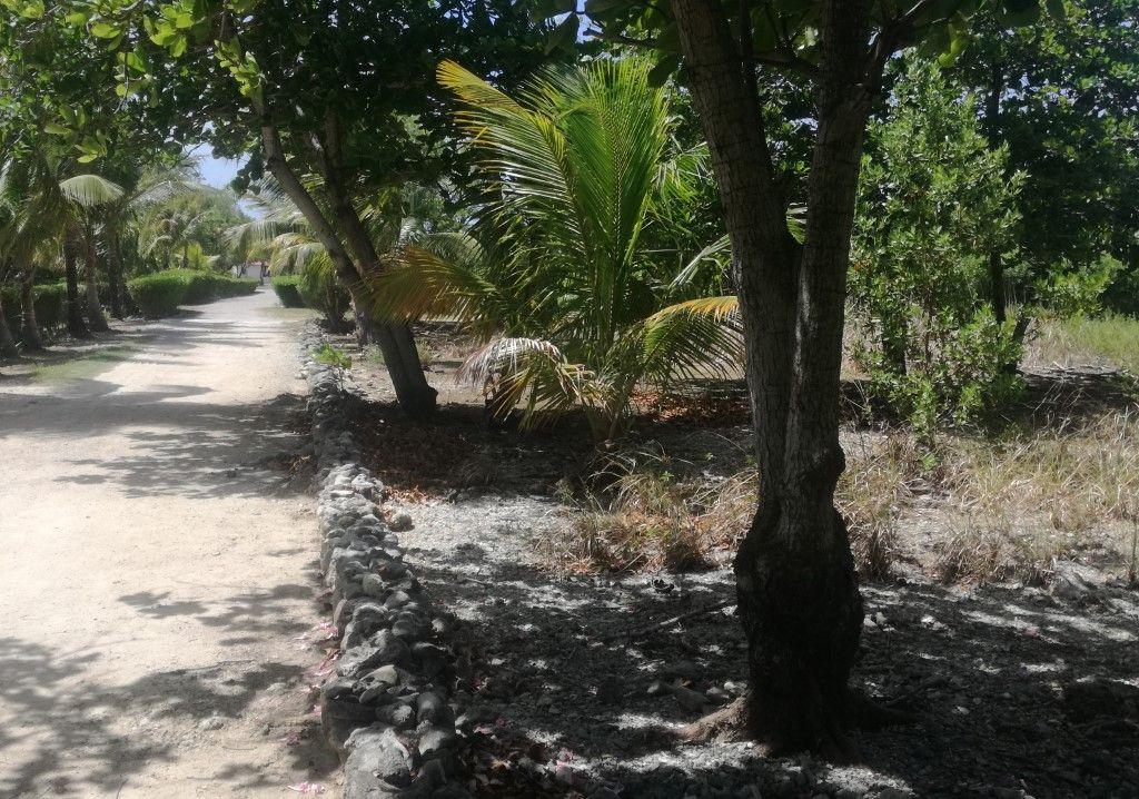 Listing ID: URE0602, Little Bight Utila, Bay Islands, HN - Lot At Little Bight, Photo #