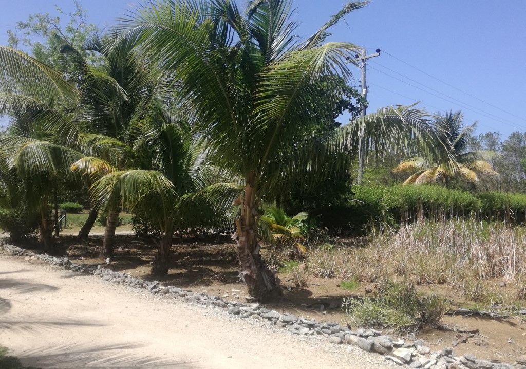 Listing ID: URE0602, Little Bight Utila, Bay Islands, HN - Lot At Little Bight, Photo #