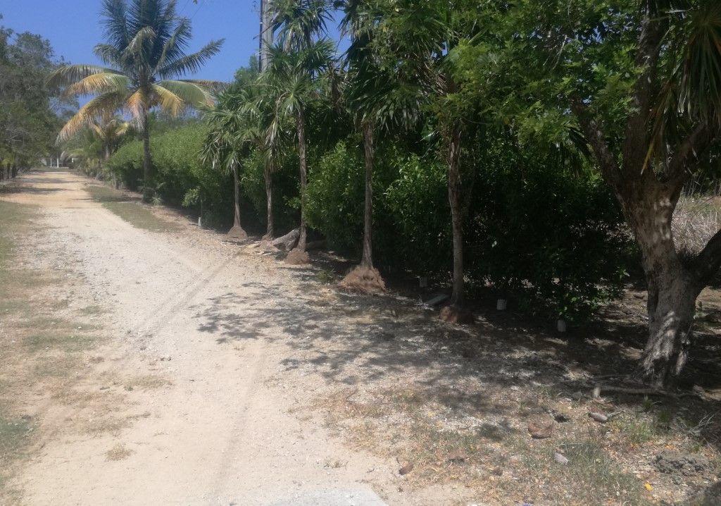 Listing ID: URE0602, Little Bight Utila, Bay Islands, HN - Lot At Little Bight, Photo #
