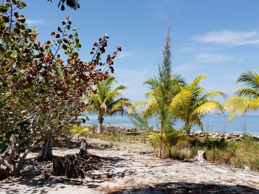 Listing ID: URE0603, Jonathan Point Utila, Bay Islands, HN - Beachfront Lot At Jonathan Point, Photo #