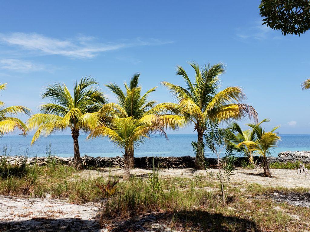 Listing ID: URE0603, Jonathan Point Utila, Bay Islands, HN - Beachfront Lot At Jonathan Point, Photo #