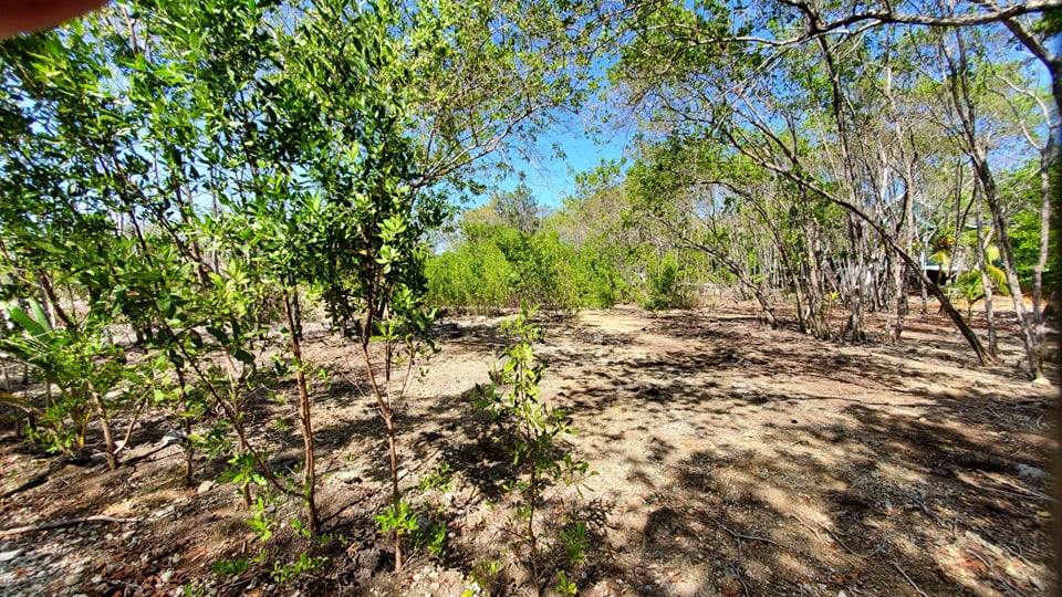 Listing ID: URE0604, Coral Beach Utila, Bay Islands, HN - Beach Access Lot At Coral Beach, Photo #