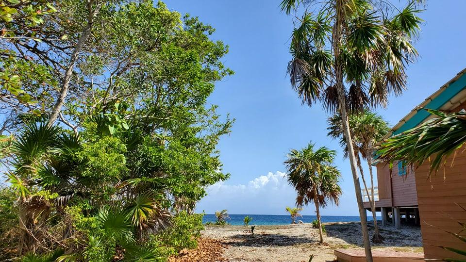 Lot Sold - Utila, Bay Islands - Listing ID: URE0604 - Photo