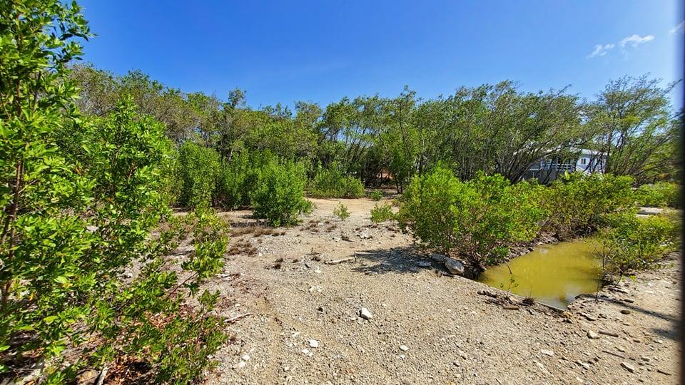 Listing ID: URE0604, Coral Beach Utila, Bay Islands, HN - Beach Access Lot At Coral Beach, Photo #