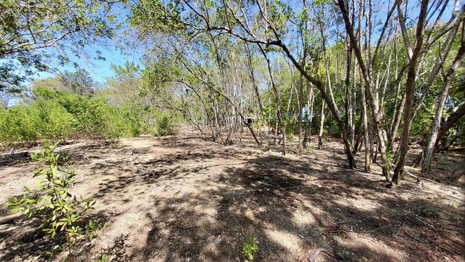 Listing ID: URE0604, Coral Beach Utila, Bay Islands, HN - Beach Access Lot At Coral Beach, Photo #