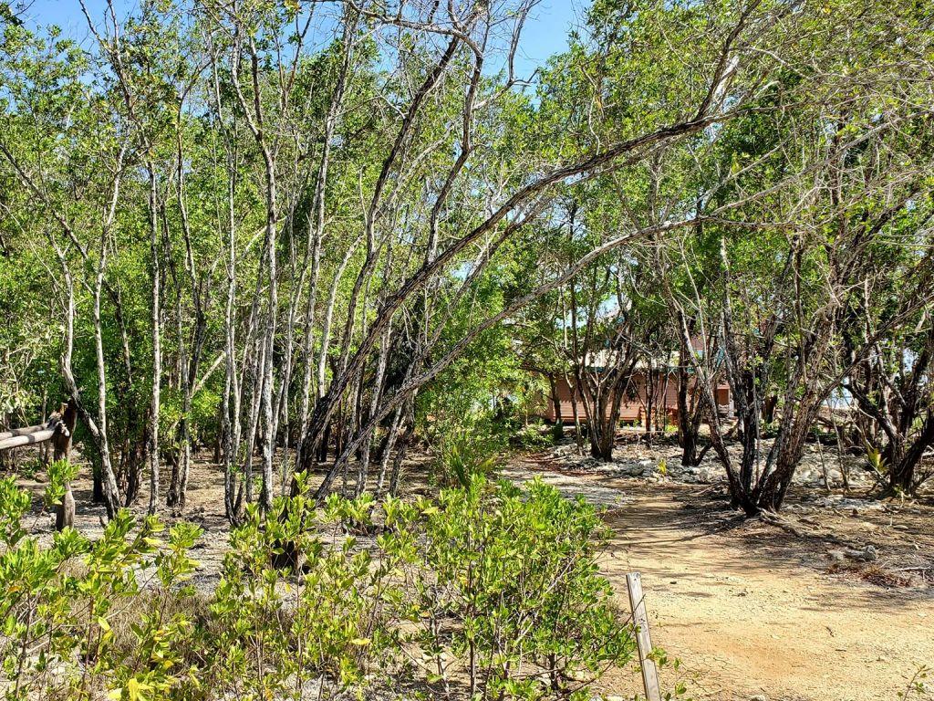 Listing ID: URE0604, Coral Beach Utila, Bay Islands, HN - Beach Access Lot At Coral Beach, Photo #