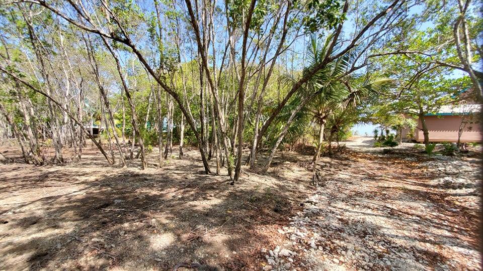 Listing ID: URE0604, Coral Beach Utila, Bay Islands, HN - Beach Access Lot At Coral Beach, Photo #