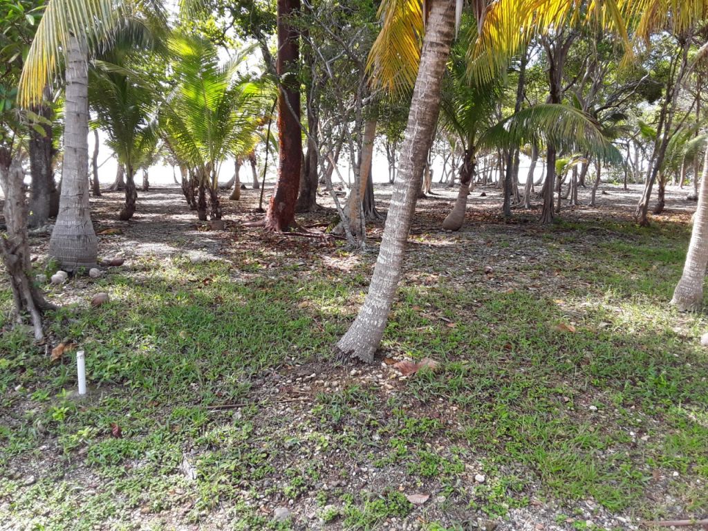 Lot Sold - Utila, Bay Islands - Listing ID: URE0608 - Photo
