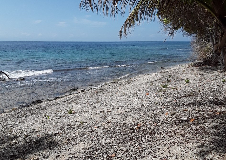Listing ID: URE0608, Silver Gardens Utila, Bay Islands, HN - Beachfront Lot At Silver Gardens, Photo #