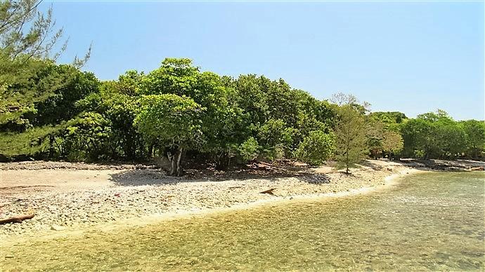 Lot Sold - Utila, Bay Islands - Listing ID: URE0613 - Photo