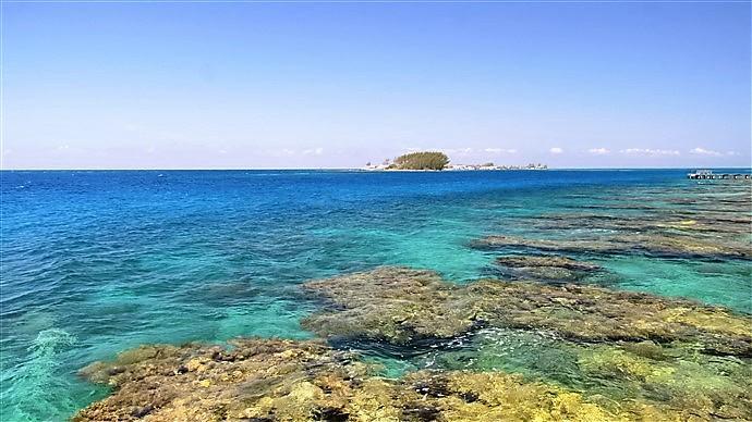 Listing ID: URE0613, Mariner's Landing Utila, Bay Islands, HN - Beachfront At Mariner's Landing, Photo #