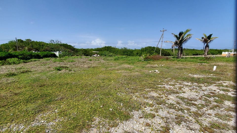 Listing ID: URE0616, Dolphin Run Utila, Bay Islands, HN - Oceanfront Lot At Dolphin Run, Photo #