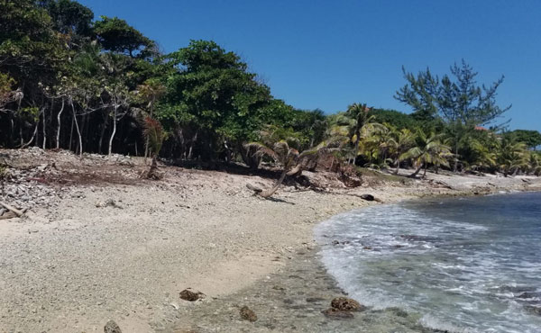 Listing ID: URE0617,  Utila, Bay Islands, HN - 0.375 Acre Beachfront Lot At Silver Garden (Lot A), Photo #