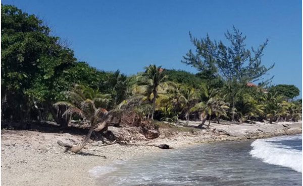 Listing ID: URE0617,  Utila, Bay Islands, HN - 0.375 Acre Beachfront Lot At Silver Garden (Lot A), Photo #