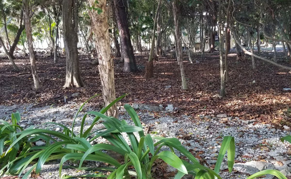 Listing ID: URE0617,  Utila, Bay Islands, HN - 0.375 Acre Beachfront Lot At Silver Garden (Lot A), Photo #
