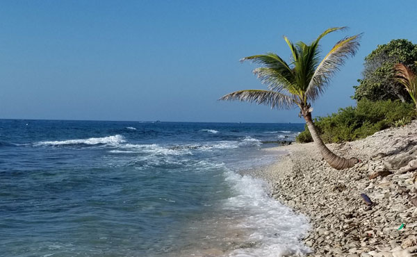 Listing ID: URE0617,  Utila, Bay Islands, HN - 0.375 Acre Beachfront Lot At Silver Garden (Lot A), Photo #