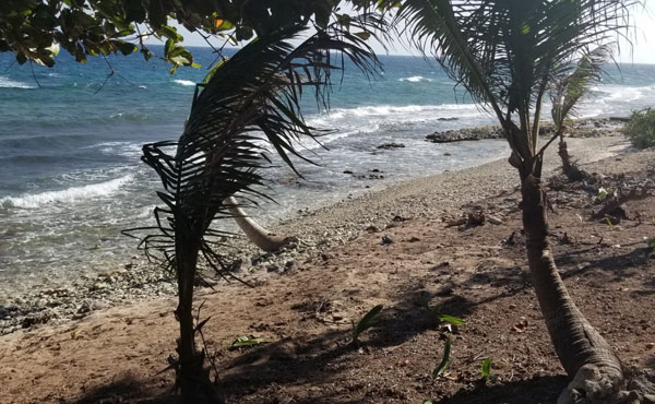 Listing ID: URE0617,  Utila, Bay Islands, HN - 0.375 Acre Beachfront Lot At Silver Garden (Lot A), Photo #