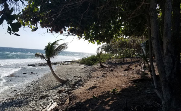 Listing ID: URE0617,  Utila, Bay Islands, HN - 0.375 Acre Beachfront Lot At Silver Garden (Lot A), Photo #