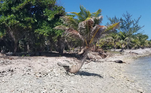 Listing ID: URE0617,  Utila, Bay Islands, HN - 0.375 Acre Beachfront Lot At Silver Garden (Lot A), Photo #