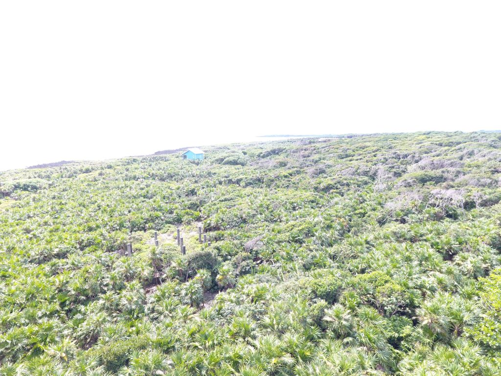 Listing ID: URE0618,  Utila, Bay Islands, HN - Cliff Club Ocean View Lot, Photo #