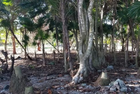 Listing ID: URE0620, Silver Gardens Utila, Bay Islands, HN - 0.375 Acre Beachfront Lot At Silver Garden, Photo #
