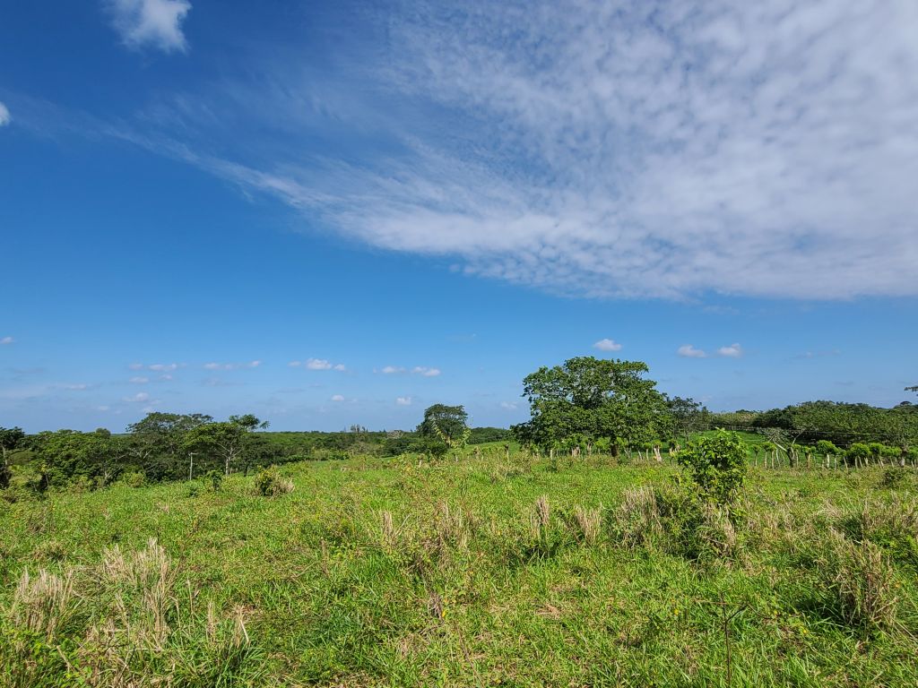 Listing ID: URE0622, Western Path Utila, Bay Islands, HN - Western Path Lot 40, Photo #