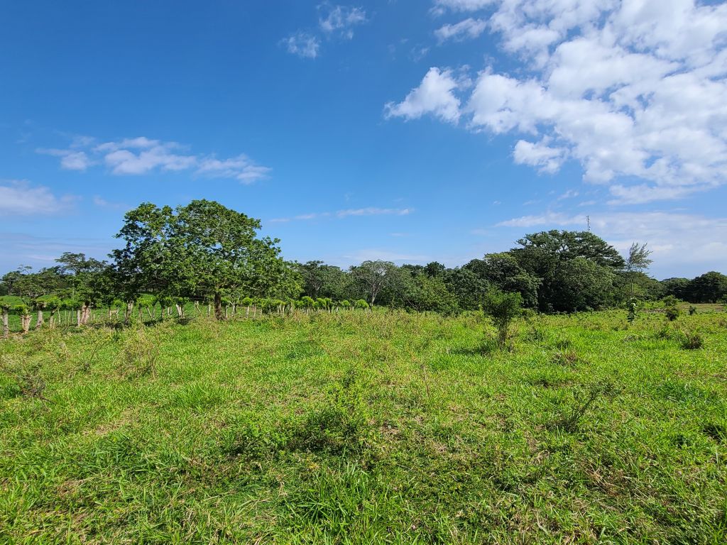 Listing ID: URE0622, Western Path Utila, Bay Islands, HN - Western Path Lot 40, Photo #