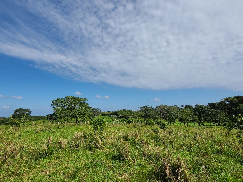 Listing ID: URE0623, Western Path Utila, Bay Islands, HN - Western Path Lot 7, Photo #