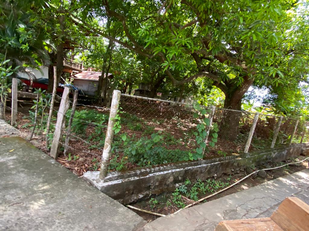 Listing ID: URE0627, Mamey Lane Utila, Bay Islands, HN - Intown Lot, Photo #