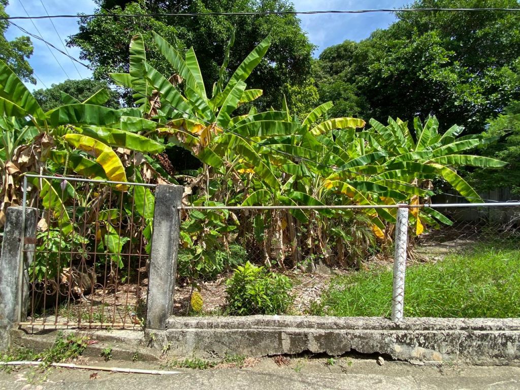 Lot Sold - Utila, Bay Islands - Listing ID: URE0627 - Photo