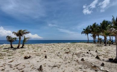 Listing ID: URE0629, Swanish Bay Utila, Bay Islands, HN - Swanish Bay Waterfront Lot 3, Photo #