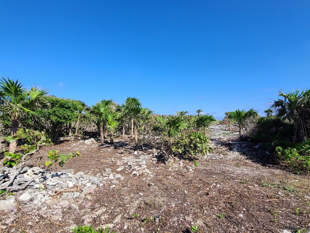 Listing ID: URE0630, Big Bight Utila, Bay Islands, HN - Beachfront At Big Bight Lot #4, Photo #
