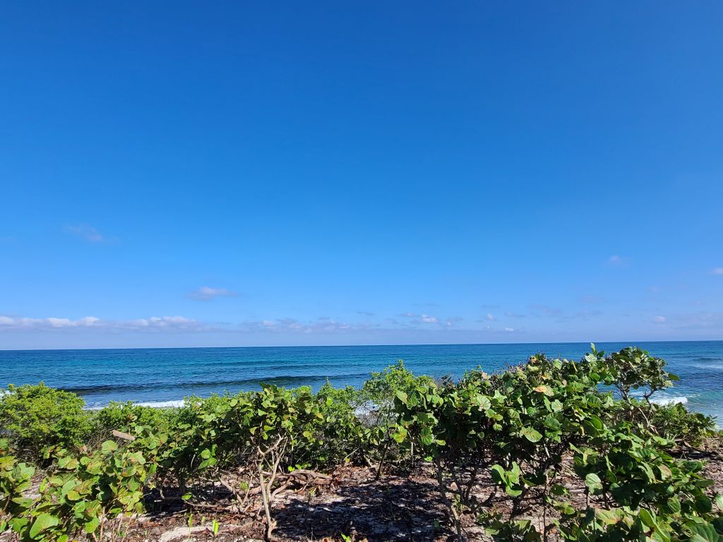 Lot Sold - Utila, Bay Islands - Listing ID: URE0630 - Photo