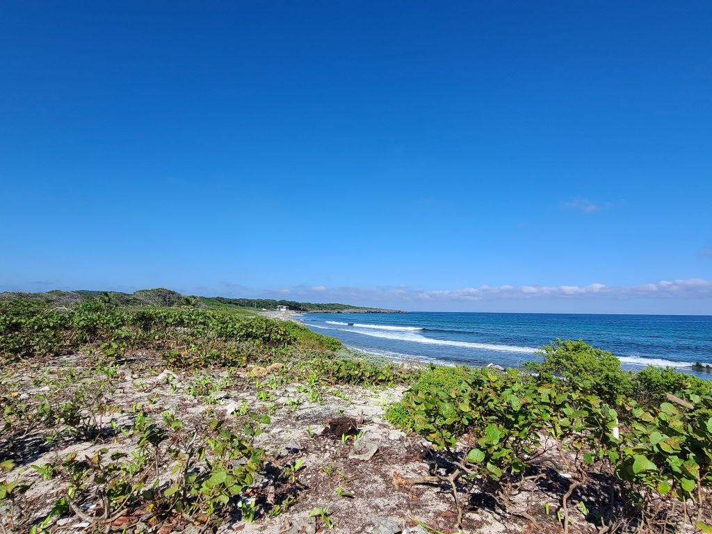 Listing ID: URE0630, Big Bight Utila, Bay Islands, HN - Beachfront At Big Bight Lot #4, Photo #