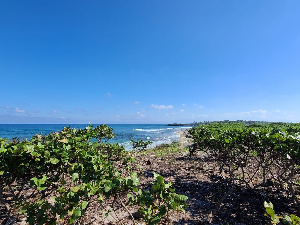 Listing ID: URE0630, Big Bight Utila, Bay Islands, HN - Beachfront At Big Bight Lot #4, Photo #