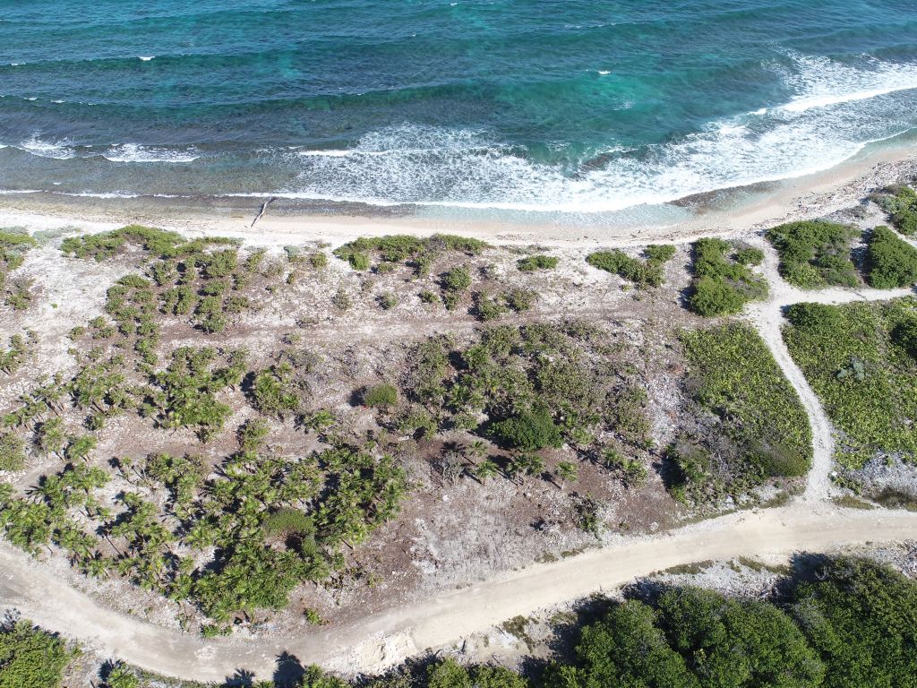 Listing ID: URE0630, Big Bight Utila, Bay Islands, HN - Beachfront At Big Bight Lot #4, Photo #