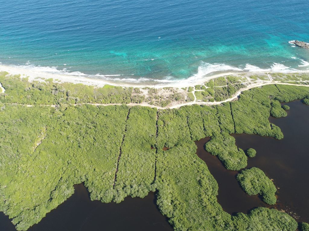 Listing ID: URE0630, Big Bight Utila, Bay Islands, HN - Beachfront At Big Bight Lot #4, Photo #