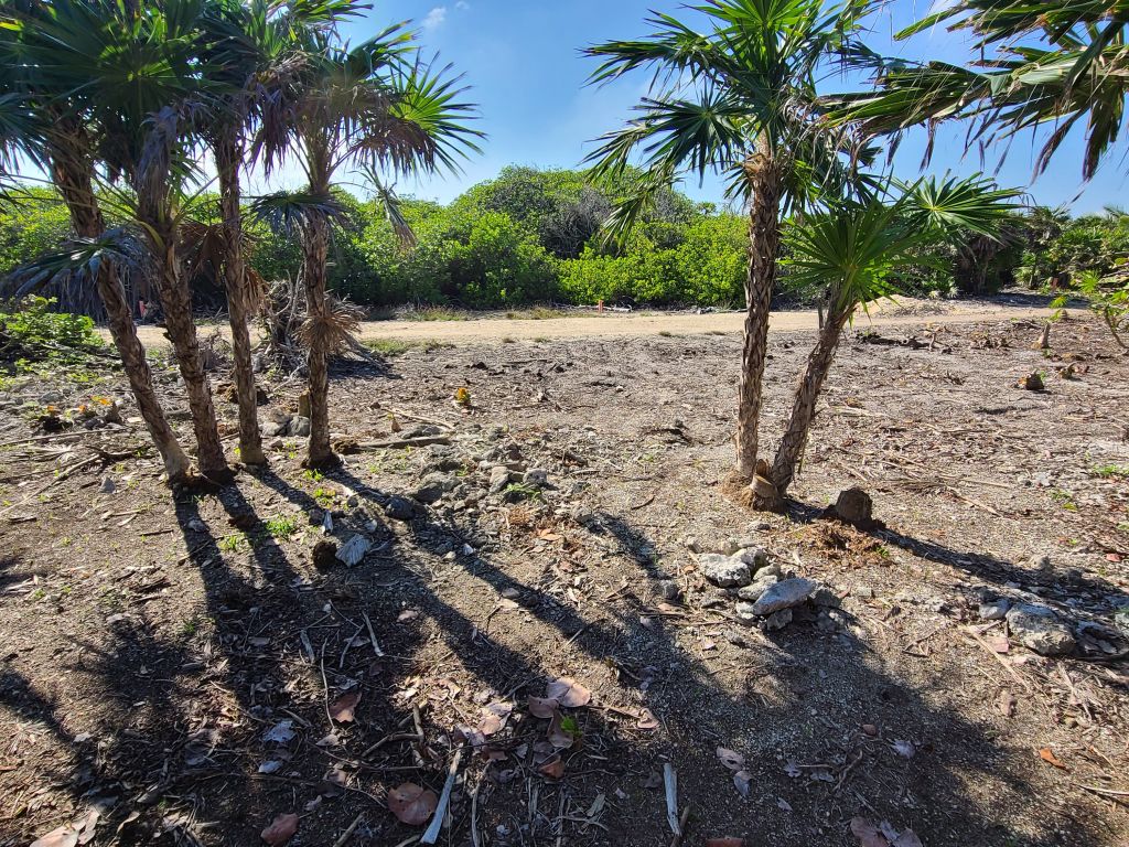 Listing ID: URE0632, Big Bight Utila, Bay Islands, HN - Beachfront At Big Bight Lot #2, Photo #