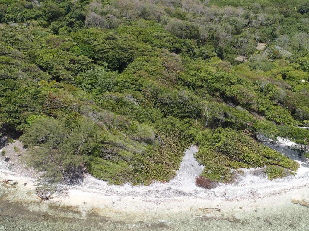 Listing ID: URE0636, Big Rock Utila, Bay Islands, HN - Big Rock Lot #2, Photo #