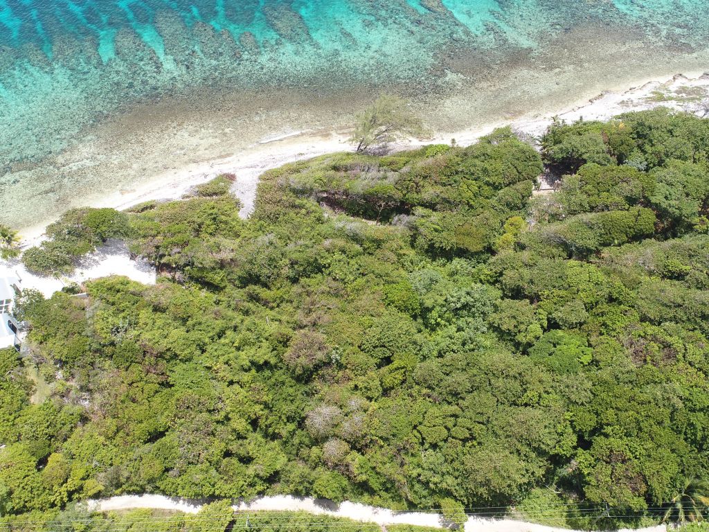 Listing ID: URE0636, Big Rock Utila, Bay Islands, HN - Big Rock Lot #2, Photo #