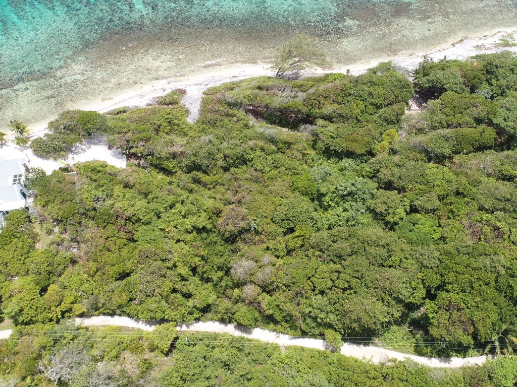 Listing ID: URE0636, Big Rock Utila, Bay Islands, HN - Big Rock Lot #2, Photo #
