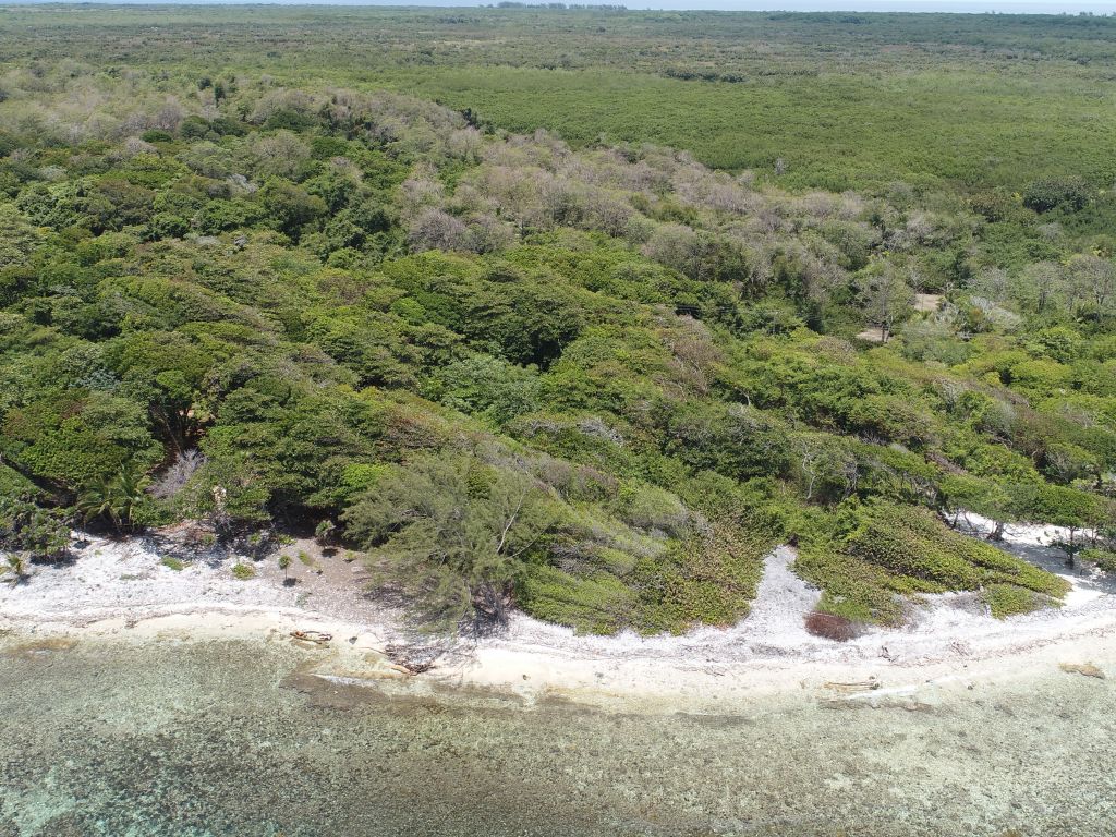 Listing ID: URE0636, Big Rock Utila, Bay Islands, HN - Big Rock Lot #2, Photo #