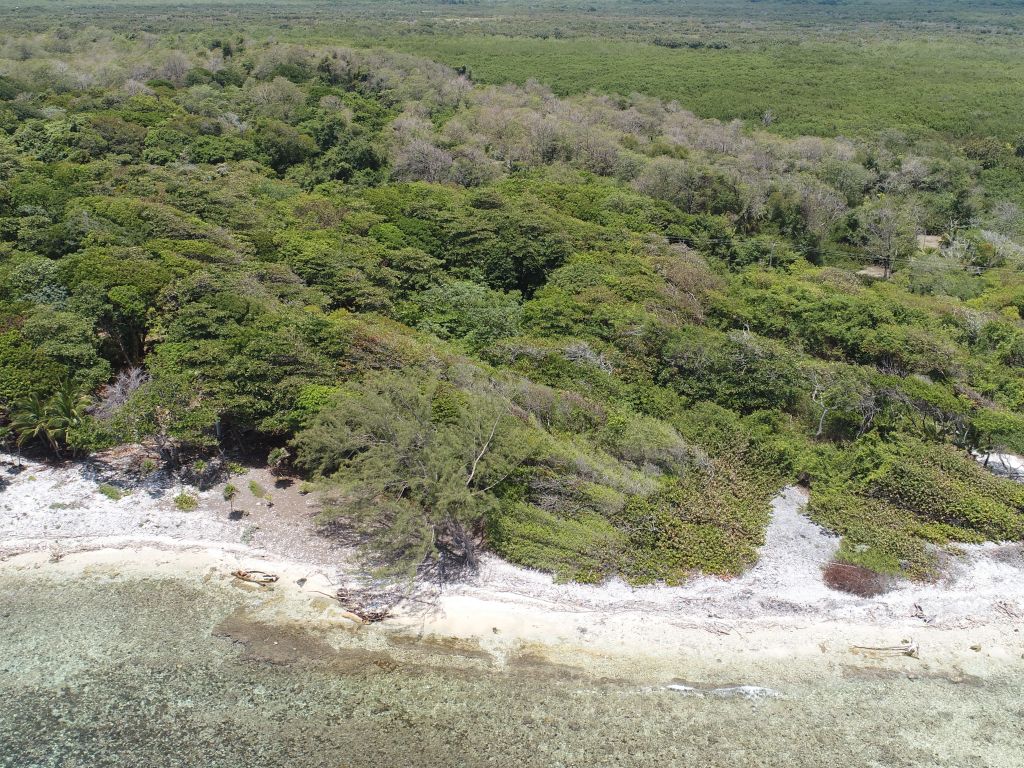 Listing ID: URE0636, Big Rock Utila, Bay Islands, HN - Big Rock Lot #2, Photo #