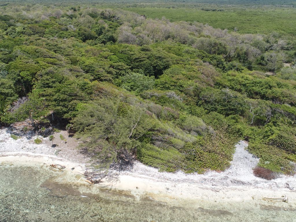 Listing ID: URE0636, Big Rock Utila, Bay Islands, HN - Big Rock Lot #2, Photo #