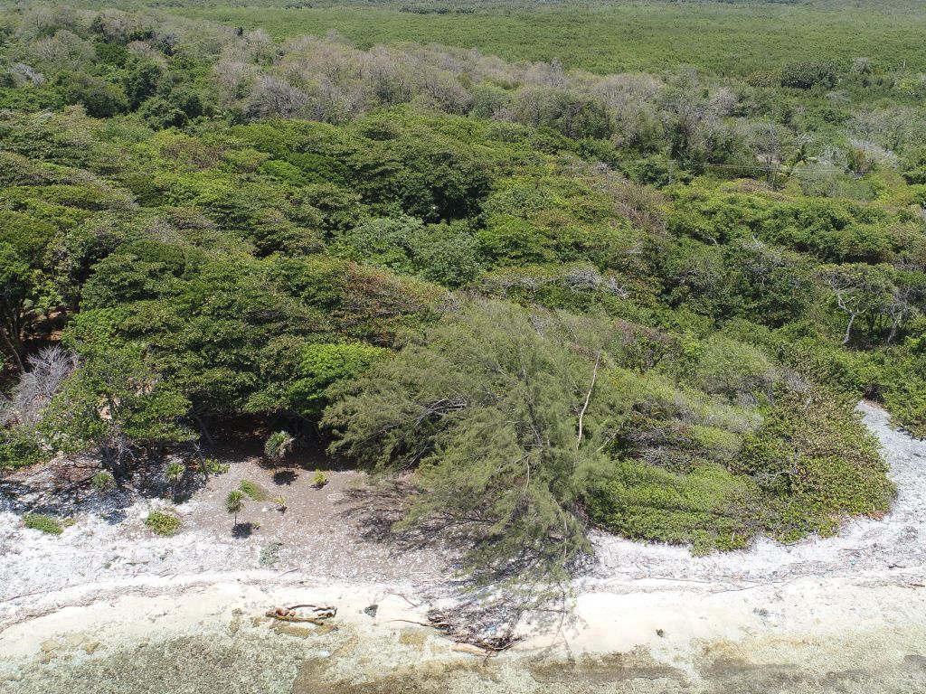 Listing ID: URE0636, Big Rock Utila, Bay Islands, HN - Big Rock Lot #2, Photo #